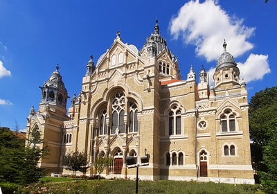 The New Synagogue