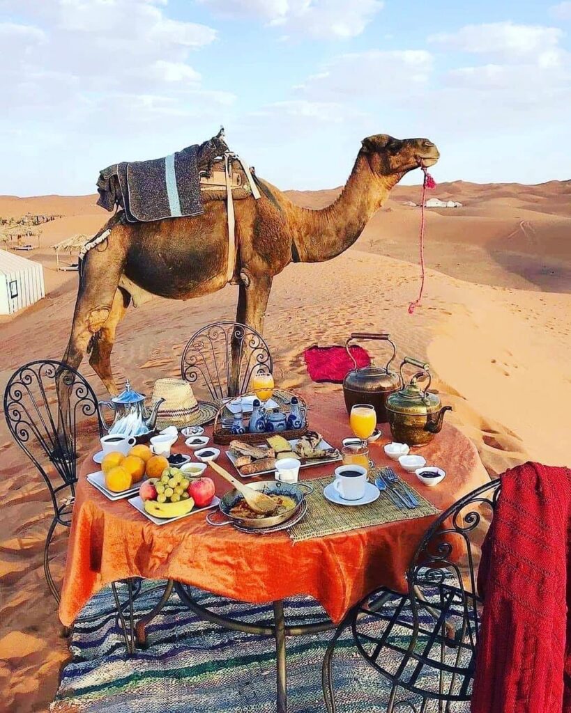 with Morocco Best Sahara Tours