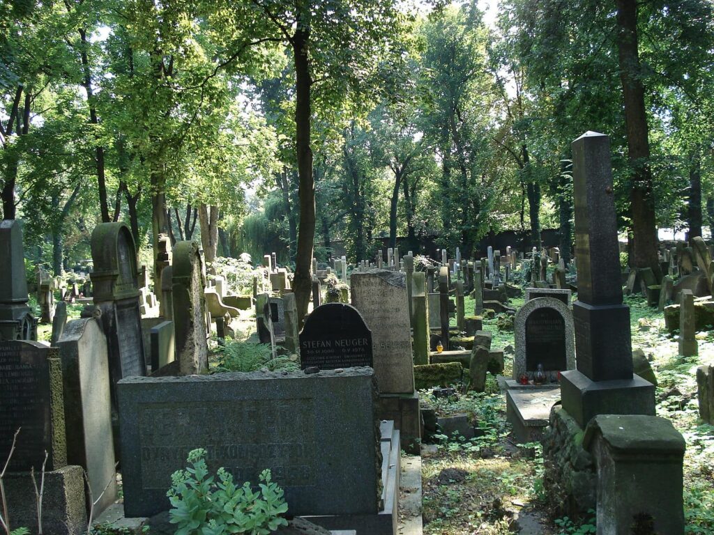 The New Jewish Cemetery