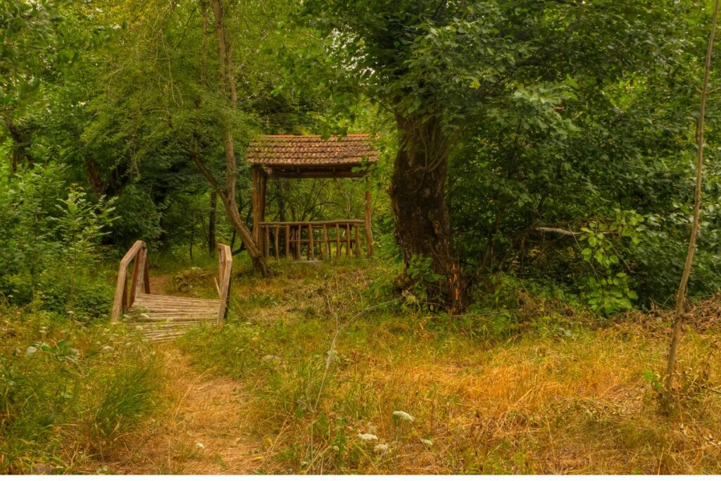 The Jewish Story of Guba, Azerbaijan