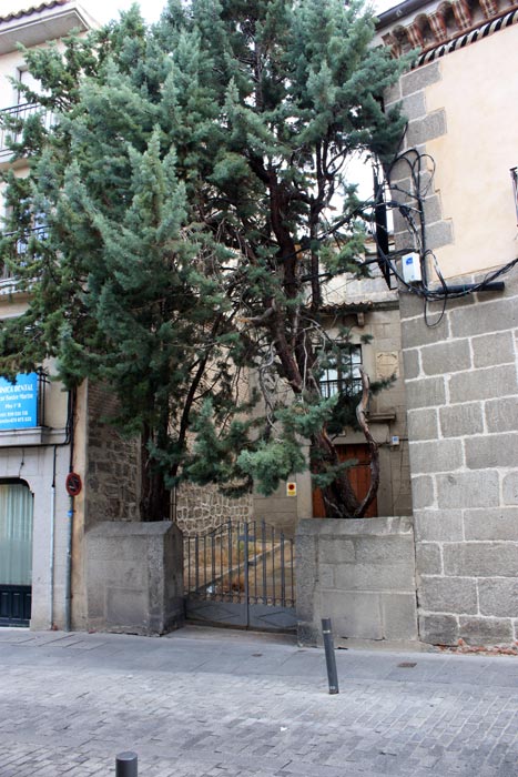 Lomo Synagogue