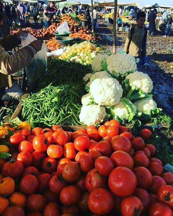 Jewish Culture in Morocco