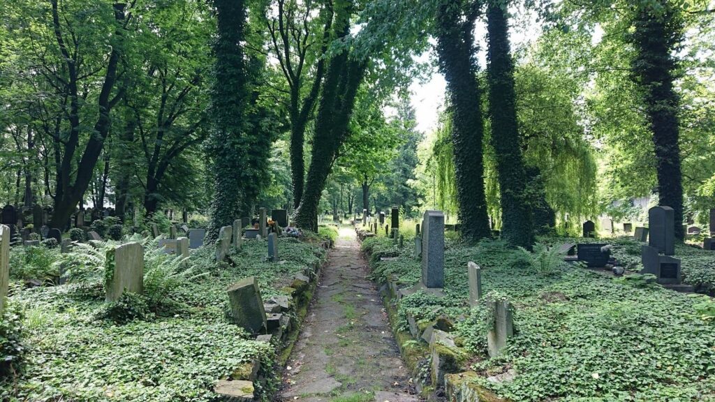 The New Jewish Cemetery