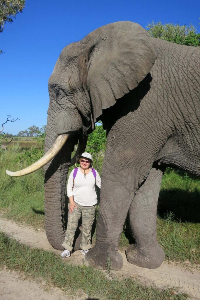 Sophia’s Travel Tours