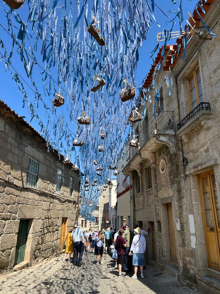 Torah in Motion