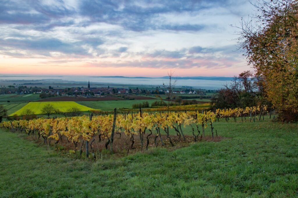 The Jewish Story of Bouxwiller, France