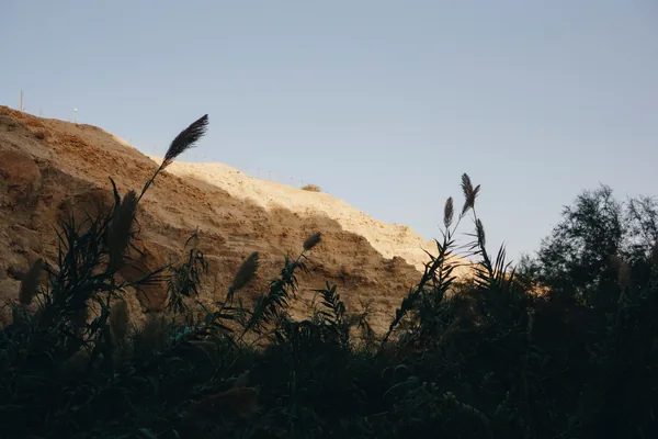 Ein Gedi