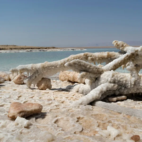 Ein Gedi