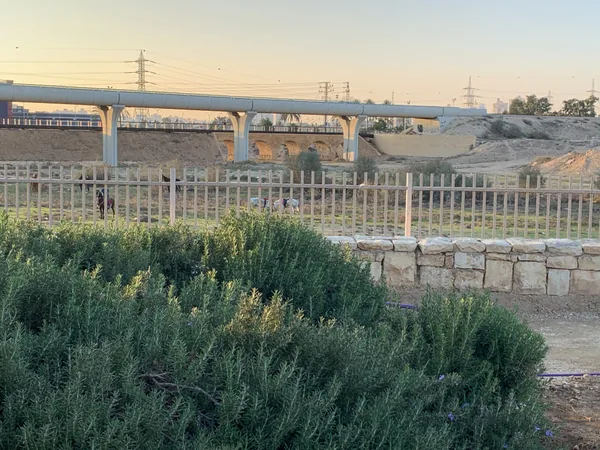 Beersheba (Be’er Sheva)