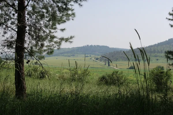 Elah Valley (Emek HaEla)