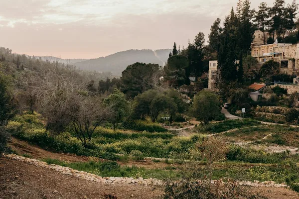 Mount of Olives